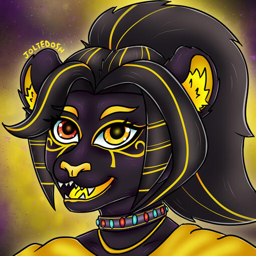 Headshot 25€